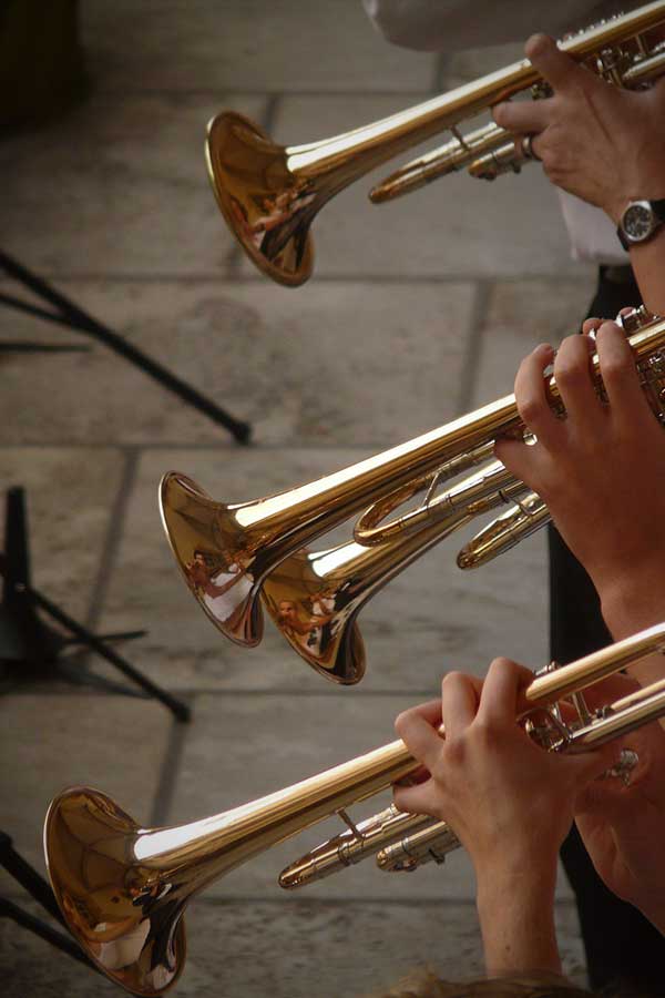trumpet